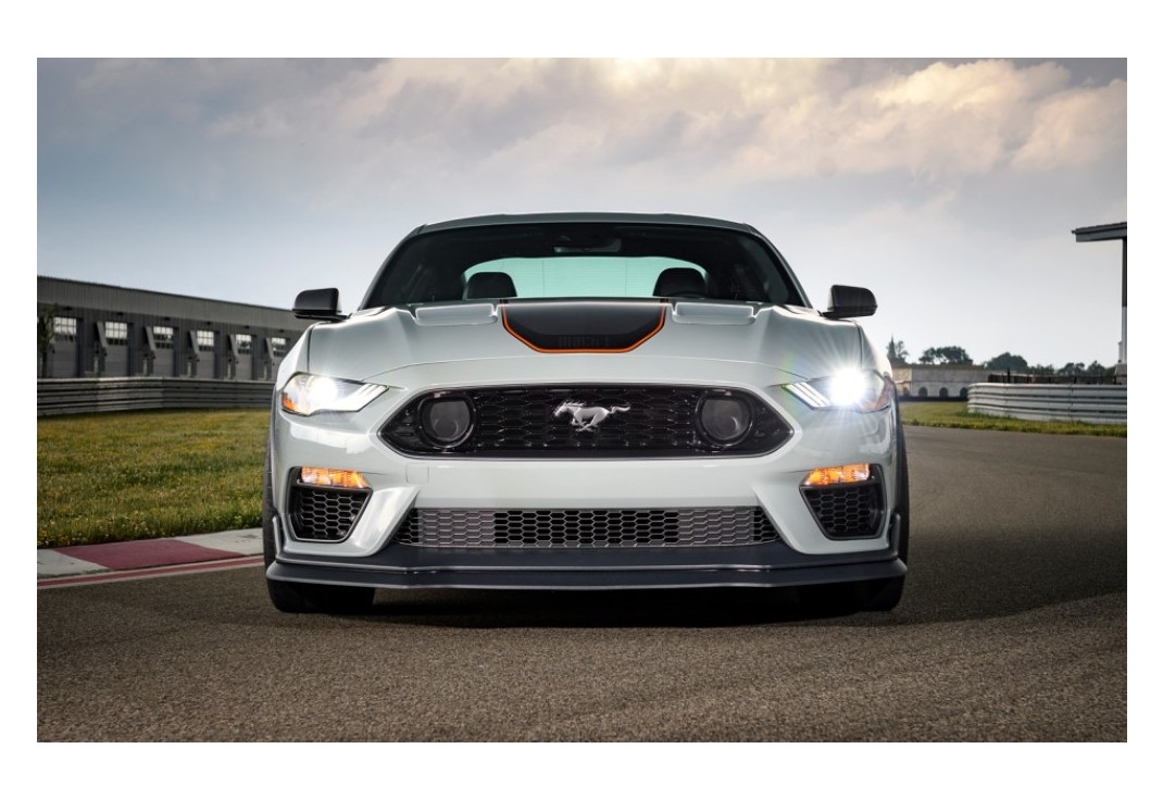 머스탱 이미지 9