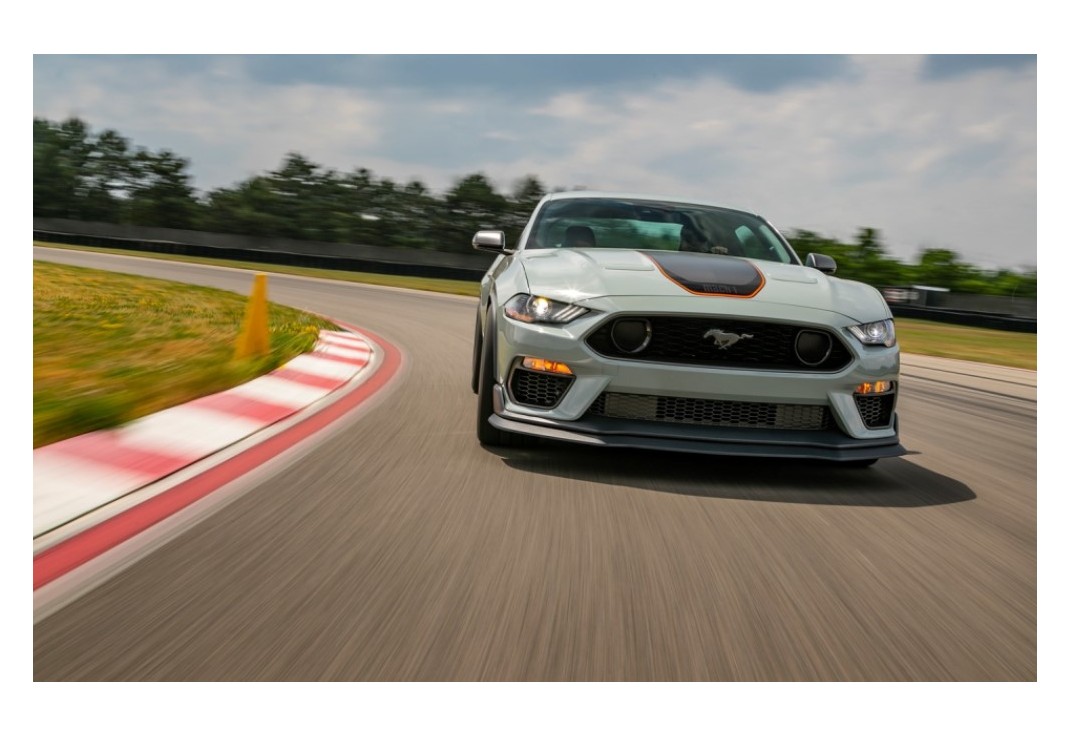 머스탱 이미지 3