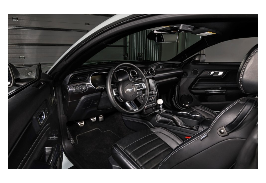 머스탱 이미지 6