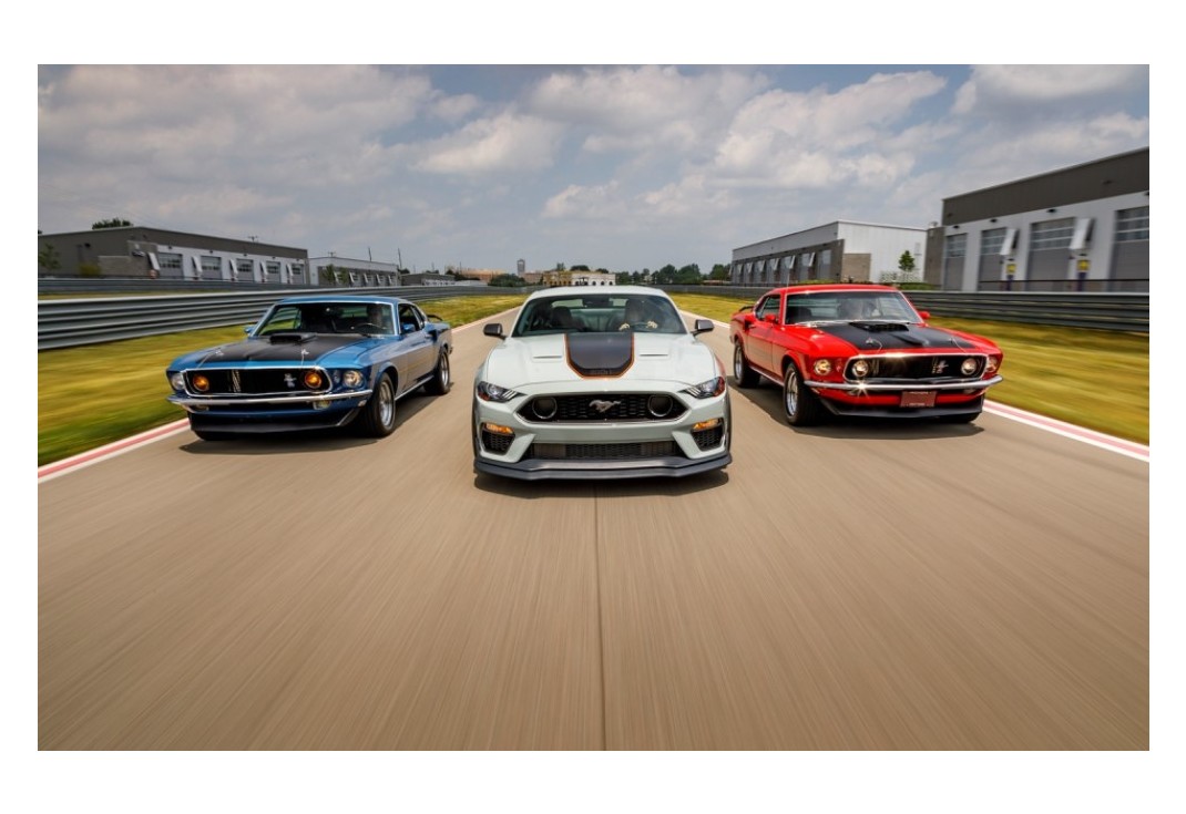 머스탱 이미지 8