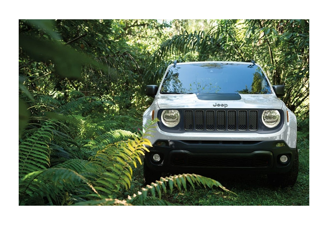 레니게이드 이미지 6