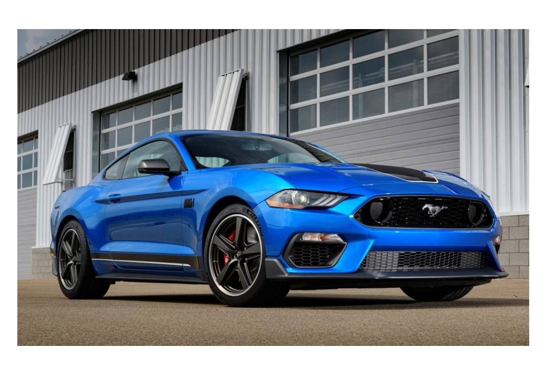 머스탱 이미지 7