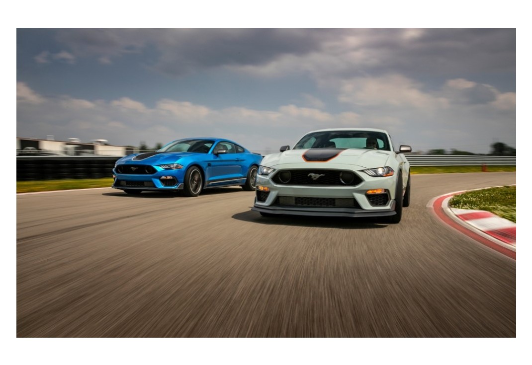 머스탱 이미지 11