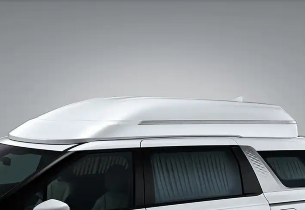 카니발 하이리무진 이미지 5